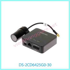 Camera IP ngụy trang  2.0 mp HIKVISION DS-2CD6425G0-30
